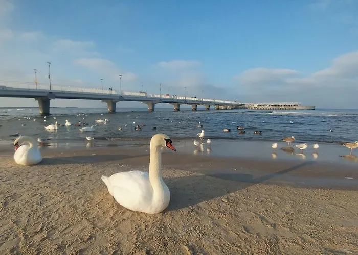 Prywatne W Przy Plazy Diva Apartment *