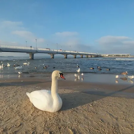 Prywatne W Przy Plaży Diva Apartament *